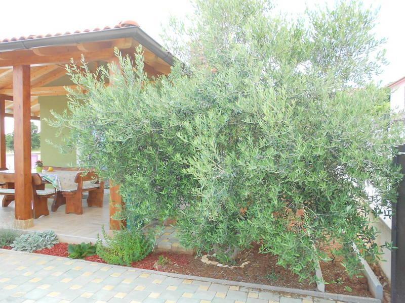 Holiday Home Tanja Pula Room photo